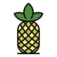 Pineapple icon color outline vector