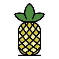 Pineapple icon color outline vector