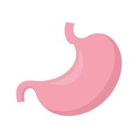 Internal stomach icon flat isolated vector