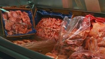 röd fisk öring är såld på visa i en Lagra. utsökt och friska hav mat, frysta video