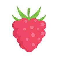 Delicious raspberry icon flat isolated vector