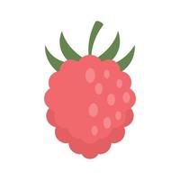 Raspberry fazz icon flat isolated vector