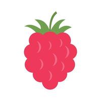 Raspberry food icon flat isolated vector