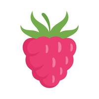 Sweet raspberry icon flat isolated vector