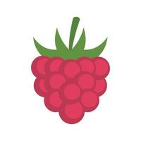 Fruit raspberry icon flat isolated vector