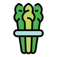 Raw asparagus icon color outline vector