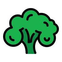 Garden broccoli icon color outline vector