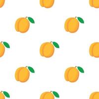 Fresh apricot pattern seamless vector