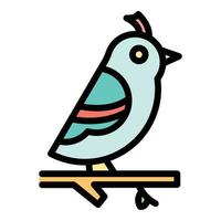 Quail on branch icon color outline vector