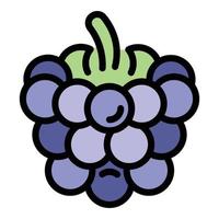 Fresh blackberry icon color outline vector