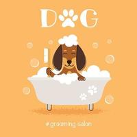 Ilustración de vector de salón de peluquería canina