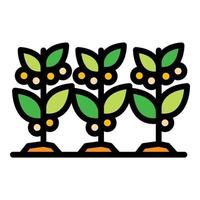 Coffee plants icon color outline vector