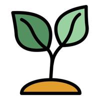 Tea plant icon color outline vector