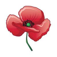 Bud of poppy icon, cartoon style vector