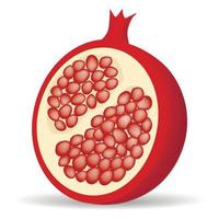 Half pomegranate icon, realistic style vector