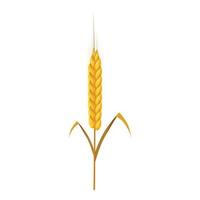 Wheat spike icon, cartoon style vector