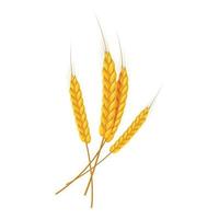 Four wheat ears icon, cartoon style vector