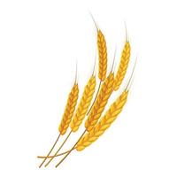 Bunch of wheat icon, cartoon style vector