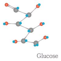 Glucose 3D molecule chemical science vector