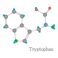 Tryptophan 3D molecule chemical science vector