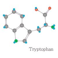 triptófano 3d molécula química ciencia vector