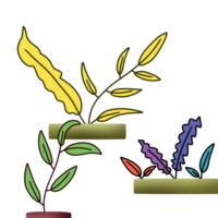 Decorative Aesthetic Leaf png