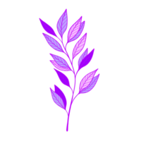 ilustración de hojas moradas. hojas vívidas. natural. png