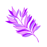 illustration de feuilles violettes. feuilles vives. Naturel. png