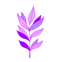 illustration de feuilles violettes. feuilles vives. Naturel. png