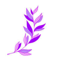 illustration de feuilles violettes. feuilles vives. Naturel. png