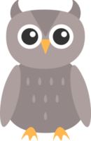 owl design illustration isolated on transparent background png
