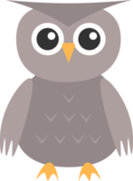 owl design illustration isolated on transparent background png