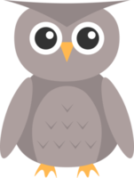 owl design illustration isolated on transparent background png