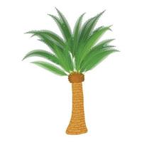 Dracaena icon, cartoon style vector