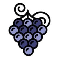 Greece grapes icon color outline vector