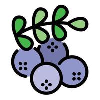 Rowan berry icon color outline vector