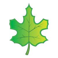 Green maple leave icon, cartoon style vector