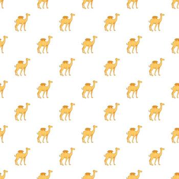 patrón de camello, estilo de dibujos animados vector