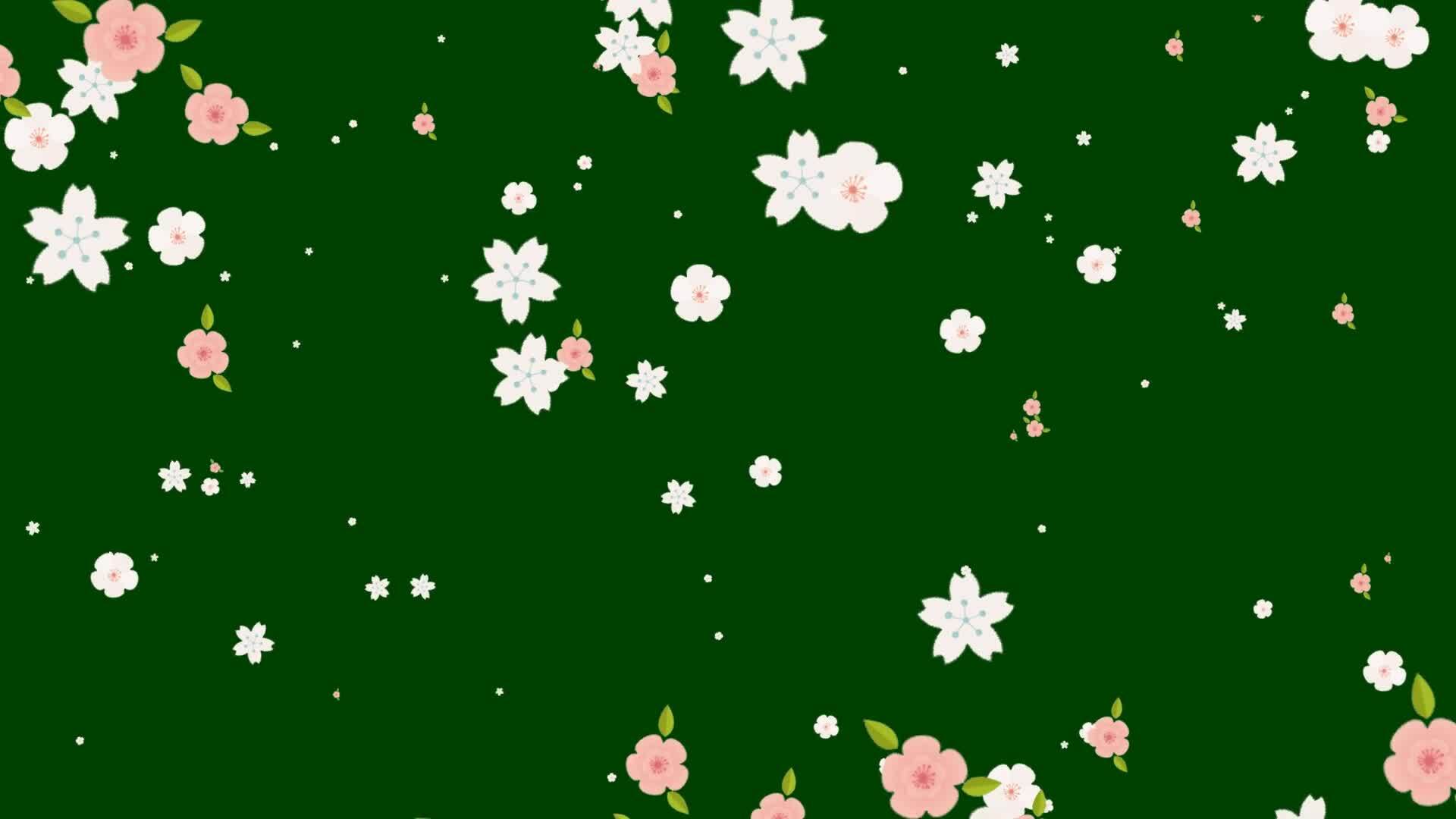 Animated Spring Stock Video Footage for Free Download