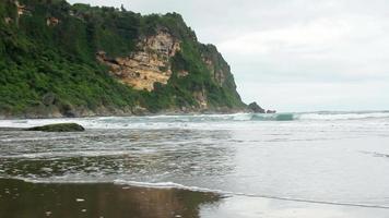 Black Sand Beach with Cliffs and Corals video