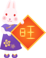 year of rabbit icon png