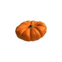 mini geel pompoen groente reeks seizoensgebonden beeld voor herfst vakantie dankzegging en halloween ontwerp geïsoleerd, knipsel pad png