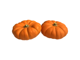 Mini yellow pumpkin vegetable set seasonal image for autumn holiday thanksgiving and halloween design isolated, clipping path png