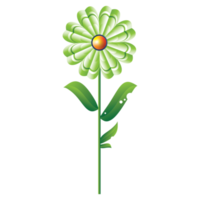 blooming flower design for decoration png