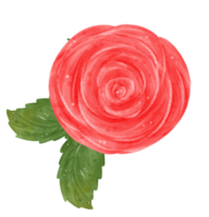 cute single Valentine rose flower with leaf watercolour hand drawing png