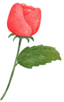 schattig single Valentijn roos bloem met blad waterverf hand- tekening png