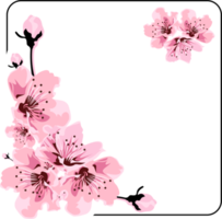 moldura floral decorada com algumas rosas cor de rosa png