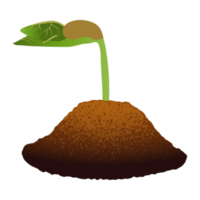 Sapling Sprouting from Soil. png