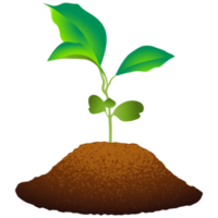 Sapling Sprouting from Soil. png