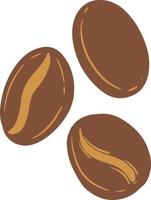 Coffee beans illustration vector